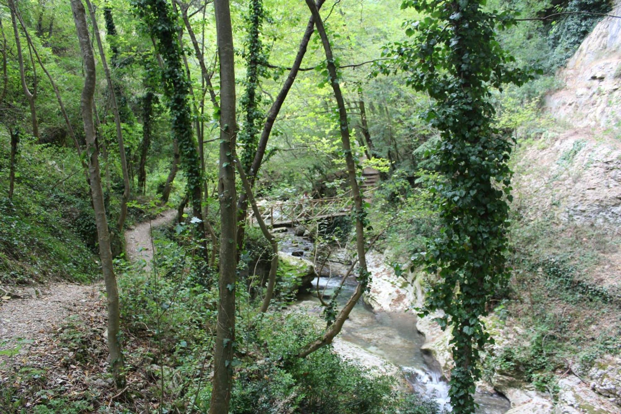 Hotel Arimannia